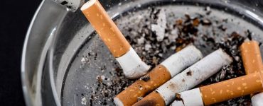 collecte cigarette