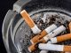 collecte cigarette